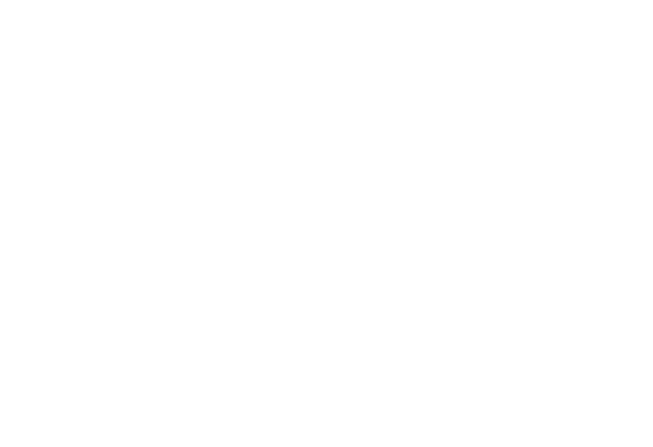 AI Tech Solutions
